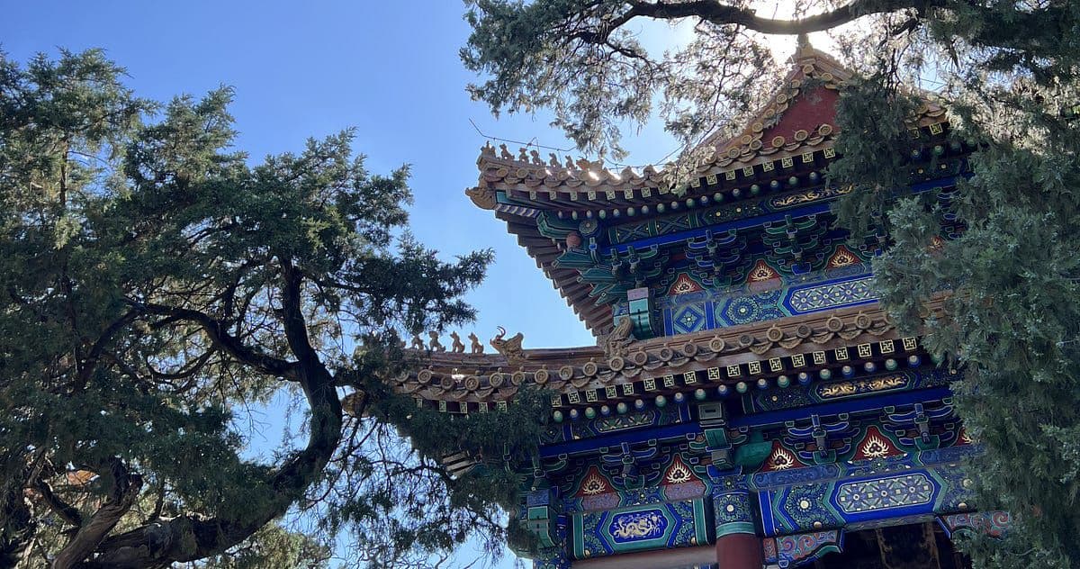 I Spent 2 Weeks in China. I Won’t Be Back.
